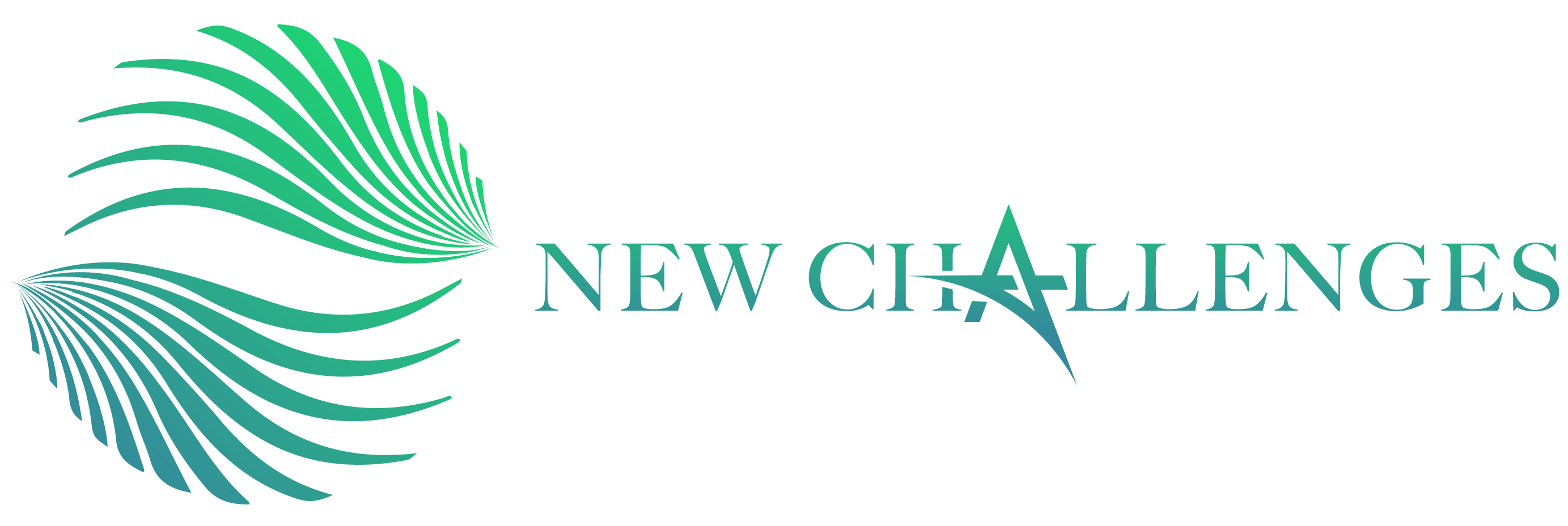 Big Logo